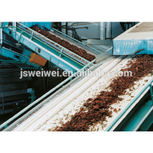 belt conveyor system